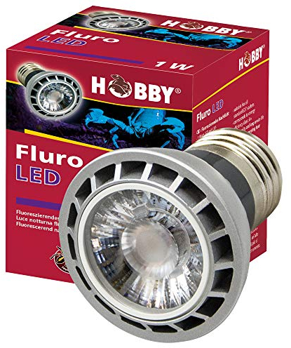 Hobby Terraristik Fluro LED 1 W I Lässt etliche Skorpione sowie einige Insekten, Spinnen und Chamäleons aufleuchten I Standard E27 Fassung I Kein Vorschaltgerät erforderlich