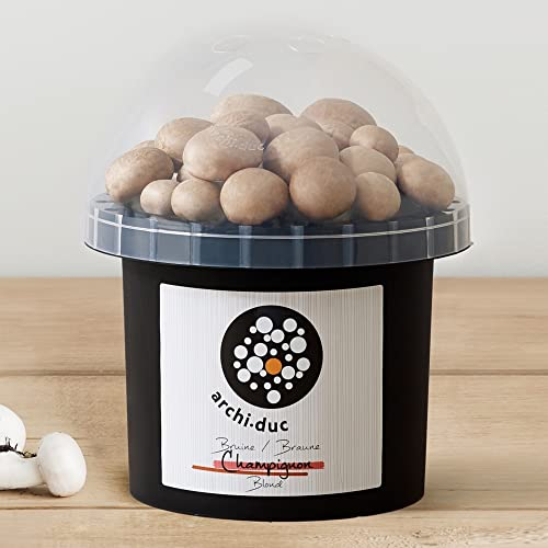 Cremini-Pilz Zuchtset | Züchte deine eigenen Pilze im Küchengarten