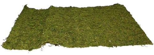 Generico Tappeto Muschio Prato Verde per presepe Fondale Sintetico per Decorazione Scenario Paesaggio Carta Presepe Rotolo da 50x70cm