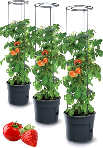 Tymar Pot för tomater, tomater, tomatplanta, balkong med spaljé, med vattenbehållare (3 st, ø 40 cm)