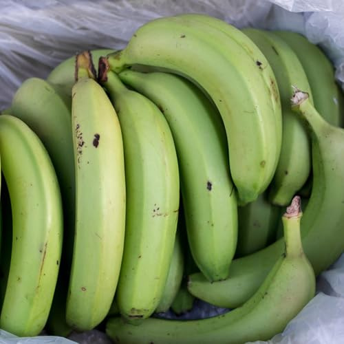 semi di banana di banano siepi, arbusti, decorazioni per il soggiorno banane da giardino resistenti in vaso Coltivazione verdi, da appartamento balcone esotico e 40pcs