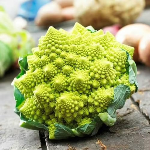 semillas de coliflor - decoración exterior resistentes jardín 400pcs