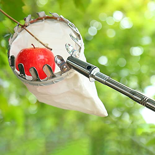 LekLai Obstpflücker, Pflaumen-Obstpflücker Mit Teleskopstiel, Apfelpflücker-Oberwerkzeug, Mit Großem Korb Und Metallklammer-Obstpflückerstab/10M(32.8Ft)