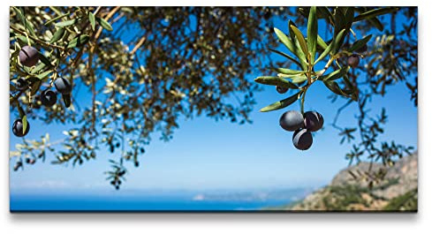 Paul Sinus Leinwandbild 120x60cm Mittelmeer Sommer Olivenbaum Oliven Italien