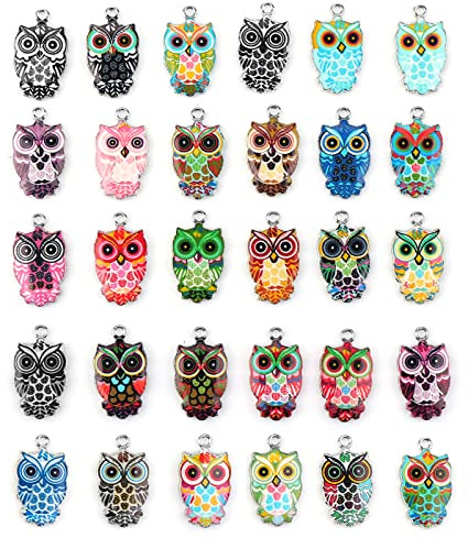 Thinp 30 Colorful Owl Charms for Jewelry Making - Metal Pendants & Cute Animal Enamel Charms for DIY Necklace, Earring, Bracelet & Christmas Craft Supplies