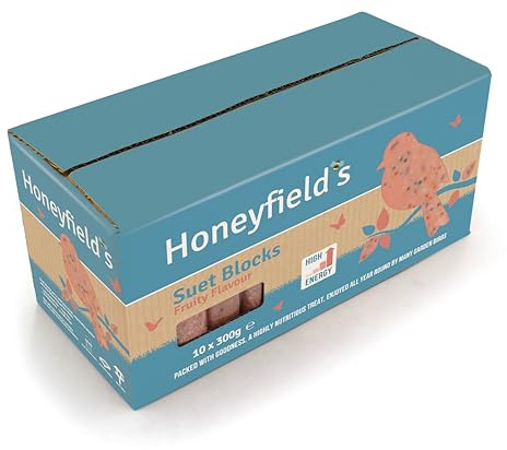 Honeyfield’s - Winter Suet Blocks for Wild Birds, Wild Bird Food for Robins and Common Garden Breeds, High Energy with Raisins, Suitable for Year-Round Feeding, Made in the UK (Fruity) (10 x 300g)
