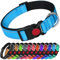 LARRYROO Reflective Dog Nylon Collar | Slide Lock Safety Buckle | Fully Adjustable | Soft Neoprene Padding (Sky Blue, Medium (35cm - 50cm Neck))