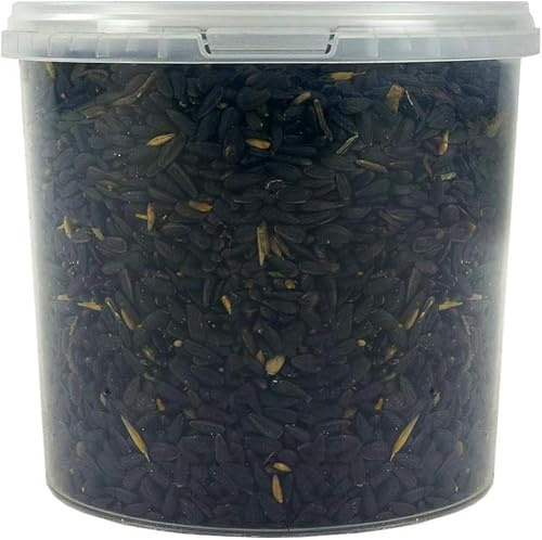 SQUAWK Semi di Girasole Neri - Cibo per Uccelli Selvatici Ricco di Olio per il Giardino (5L)
