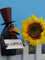 Pommerntraum ® | Zaunfigur Zaunhocker Pfostenhocker Dekofigur Gartendekoration Rabe mit Regenschirm Vogel Vögel (Rabe 3 - WILLKOMMEN)