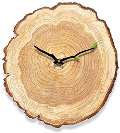 horloges murales pour chambre Horloge murale à grain de bois salon chambre horloge silencieuse montre murale en bois moderne minimaliste maison anneau annuel horloge européenne Horloges murales de