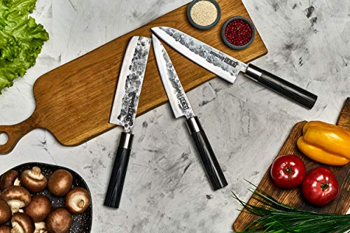 Samura Blacksmith Set 3 Coltelli Da Cucina Giapponesi Nakiri Santoku Filettare
