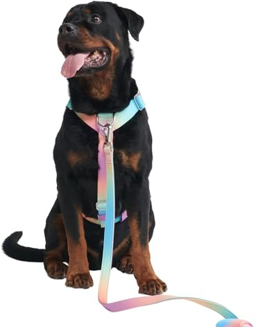 Spark Paws Large Dog No-Pull Harness, Halter Design with Front Clip, Durable and Heavy-Duty for Big and Strong Breeds - Pastel Icing, L