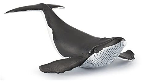 Papo - Figura Vitello - Balenottero per Bambini dai 3 Anni in su - Animale Marino Realistico in Plastica - Dipinto a Mano - Collezione Universo Marino - 56035