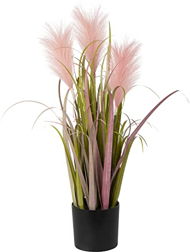 Hollyone Pianta artificiale da 66 cm, erba della pampa rosa, piante in plastica, pianta finta alta, grandi piante decorative per interni ed esterni, casa, soggiorno, cucina, decorazione ufficio