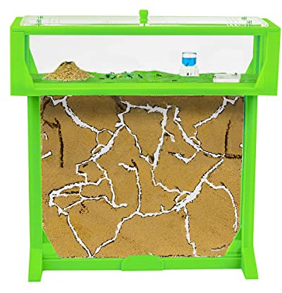 AntHouse - Fattoria di formiche di sabbia naturale | T 3D Set GRANDE 25x20x1,5 cm Verde | Comprese le formiche