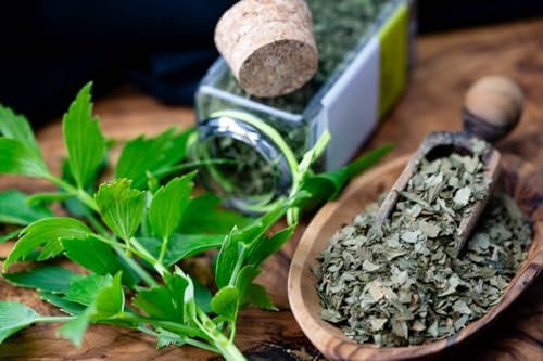 600 Liebstöckel Maggikraut Samen, Levisticum officinale, Gewürze, Kräuter für den Garten