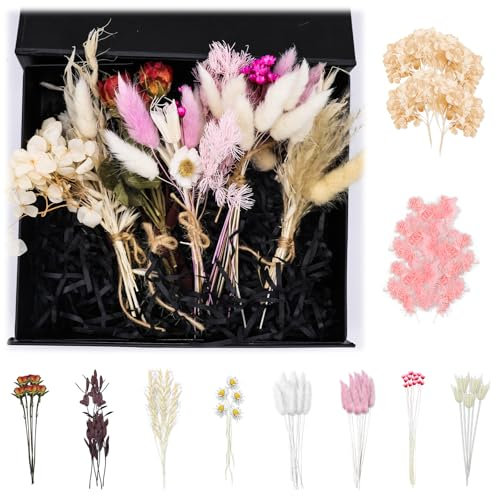 DOWNDRIFT 70 Stück Trockenblumen Klein Getrocknete Blumen Trockenblumenstrauß Klein Trockenblumen Zum Basteln Mini Trockenblumen Mini Trockenblumenstrauß für Handgemachte Heimdekoration Hochzeit