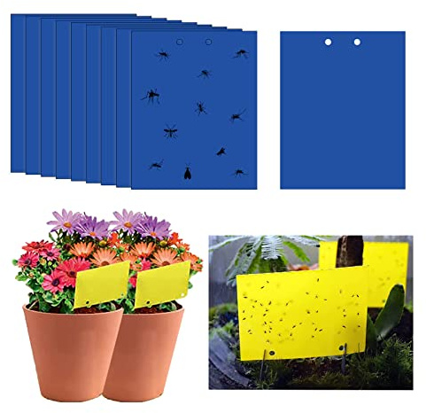 40 st klibbiga flugfällor, 20 x 15 cm blå flugpappersklistermärken, svamp gnat fällor, insektsfälla, klibbiga flugfångare dubbelsidig för insekter mot svamp gnat, vitflugor, aplöss
