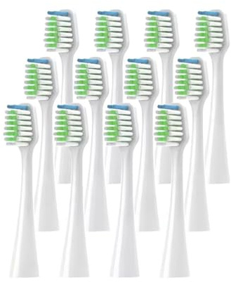 Eine Elektrische Zahnbürste Ersetzt Den Zahnbürstenkopf. Kompatibel Für Waterpik WP-86EC/CC-01(White 12pcs)
