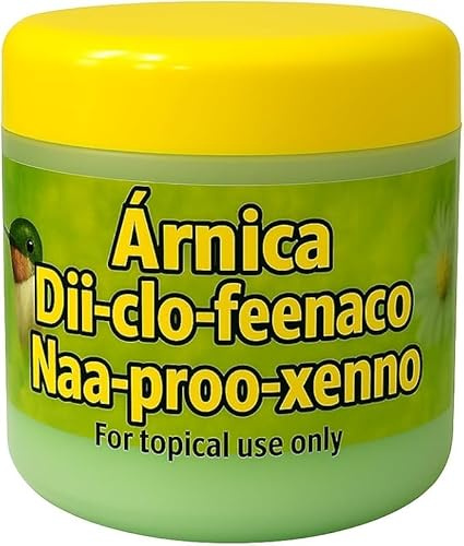 2 Pack Arnica Gel 250g Authentic Mexican for Topical Use Only Gel