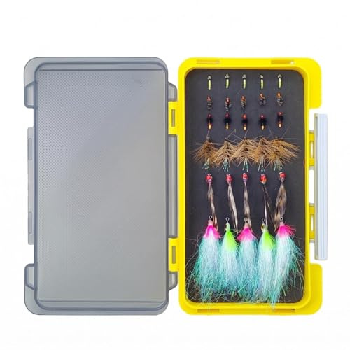 Folpus Leurres Mouches de Pêche Set Assortiment Hameçons Appâts Attracteurs en Acier Carbone avec Coffret Dur Intérieur Mousse pour Organisation des Modèles, TZ003 30 Pièces Assorties