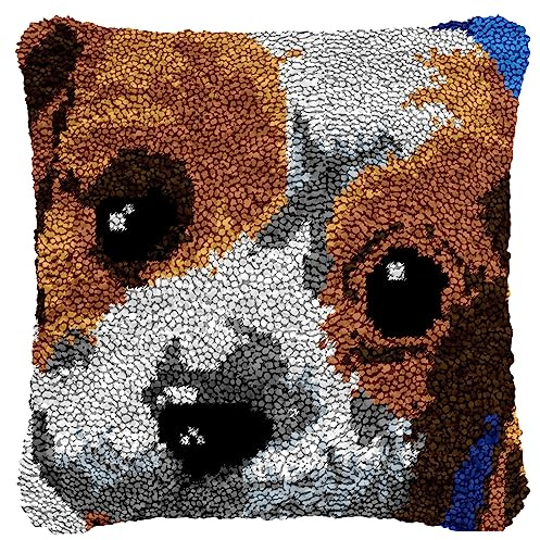 Juego de almohadas de anudación para hacer tú mismo, juego de ganchos, funda de almohada, juego de tapetes de nudos, juego de cojines, kit de ganchos hechos a mano, regalos para niños y adultos, 43 x