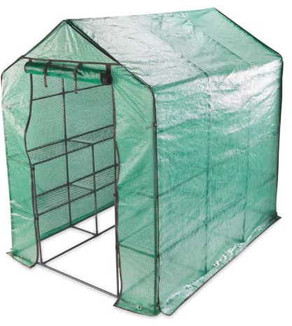 Garden Mile 2m Large Walk in Greenhouse with Shelves Roll Up Zip Door 3 Tier Large Green House Weatherproof Greenhouse Walk In Outdoor and Indoor Greenhouses Fruits Vegetables Tomato Greenhouses
