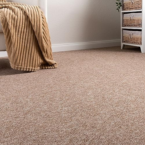 Steffensmeier Schlingen Teppichboden Meddon XL Meterware | Auslegware für Flur Büro | 1m 2m 3m 4m 5m breit! | Beige, Größe: 100x200 cm