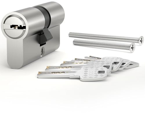 AwmnSrman Schließzylinder 30/30,Zylinderschloss mit 5 Schlüsseln, Schließzylinder Beidseitig Schließbar, Euro Messingzylinder Satin Nickel Finish Querlöcher