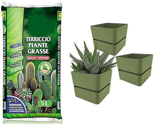 Virsus Kit Sacca Terriccio Piante Grasse 072 da 5LT + 3 Vasi quadrati con sottovaso 313 misura 12x11cm, Terriccio elevata capacità drenante, vaso per interno ed esterno per piante grasse (Olive)