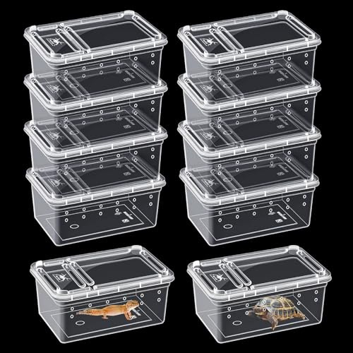 10Pcs Reptile Feeding Box, Transparent Animal Habitat Cage Spider Terrarium, Plastic Breeding Box for Reptile Turtle Spider Frog Scorpion Snake (15 x 10 x 6.5 CM)