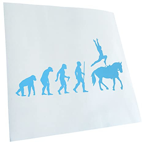 Kiwistar - Autocollant - Evolution pour dressage - bleu clair - G30 - Pour voitures, vélos, véhicules, motos, cyclomoteurs, tuning, vitres arrière