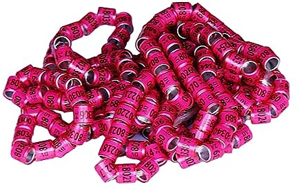 FytStycale 100 Bagues pour Pigeons 2024, Anneaux de Patte en Aluminium, Accessoires D'identification, Diamètre Intérieur 1 Cm, Hauteur 1,1 Cm, Anneau D'e, Rose