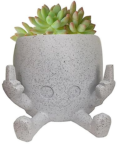 Quzente Vaso per Piante Sorridente con Dito Medio Alzato, Vaso da Fiori Succulento Unico E con Dito Medio per Gli Amanti delle Piante da Interno Ed Esterno