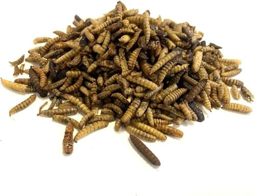 Dried Calciworms 5kg Premium Wild Bird & Hedgehog Food