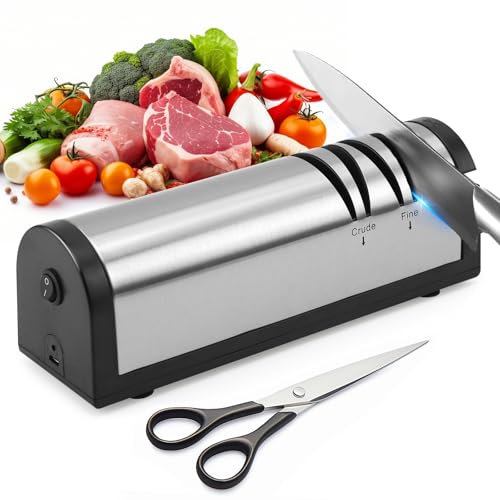 Affilacoltelli elettrico Affilacoltelli elettrico ricaricabile in acciaio inox affilatura e lucidatura a 2 stadi affilacoltelli strumento di riparazione ripristino lucidatura lame