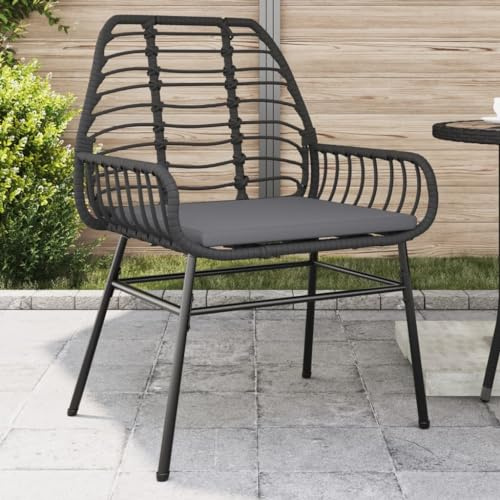 QZZCED Poltrone da giardino con cuscini 2 pz rattan sintetico nero mobili da esterno durevoli in acciaio verniciato a polvere confortevole relax