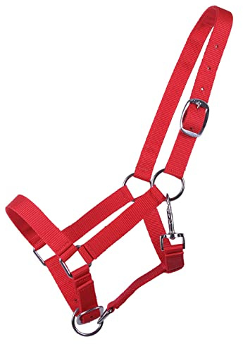 QHP Cabestro para Potros Yearling