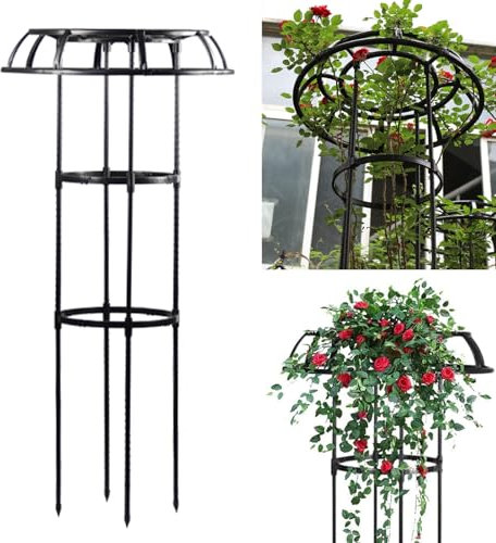 Treillis en métal pour glycines - 105 cm - Antirouille - Support pour plantes grimpantes et obélisques