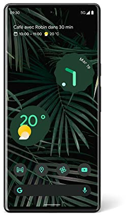 Google Pixel 6 Pro - Smartphone Android 5G sbloccato con fotocamera da 50 megapixel e obiettivo grandangolare 256 GB - Stormy Black (Ricondizionato)