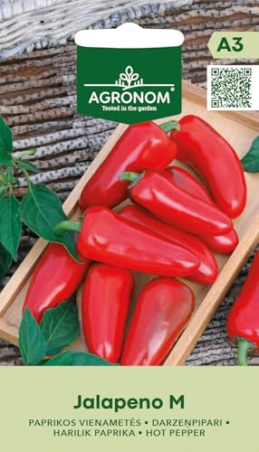 AGRONOM | Pimiento JALAPEÑO M semillas | Semillas de hortalizas | Semillas de plantas | Semillas de pimiento | Una variedad temprana, cuanto más madura la fruta, más picante es el sabor |1 paquete