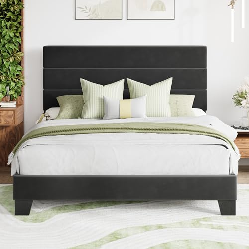 MUTICOR Letto Imbottito 160 x 200 cm con Spazio sotto il Letto, Letto Matrimoniale con Testiera Imbottita, Rivestimento in Velluto, Rete a Doghe in Legno Stabile, Facile Montaggio, Nero