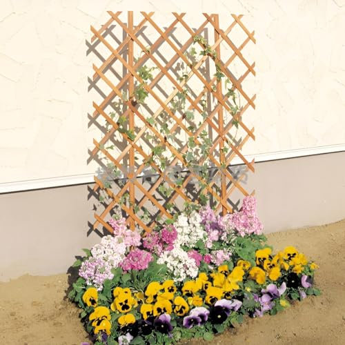 GUOGLZ Treillis Extensibles en Bois pour Plantes Grimpantes, Treillis De Jardin Grille De Plantes Clôtures Décoration pour Extérieur Intérieur Fruits Légumes Fleurs Pot