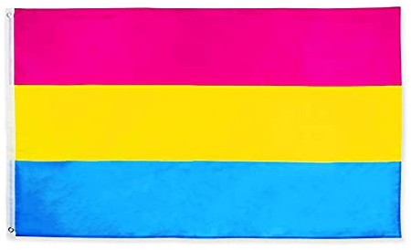 MOGADEE® Pansexual Pride Flag, 90 x 150 cm Drapeau pansexuel résistant aux intempéries, avec œillets en laiton, drapeau pansexuel adapté pour l'intérieur et l'extérieur Activités LGBT, défilés et