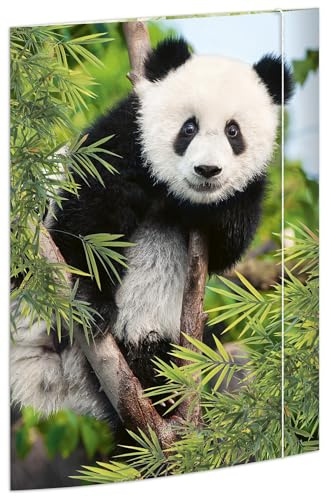 RNKVERLAG Panda 45376 Folder 310 x 440 mm Document Folder for DIN A3 with Elastic Closure Pack of 1