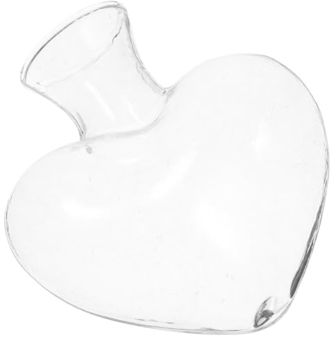 Hemobllo Botella De Amor De Vidrio Maceta Decorativa Para Plantas Florero Creativo Hogar Oficina Jardinería De Vidrio