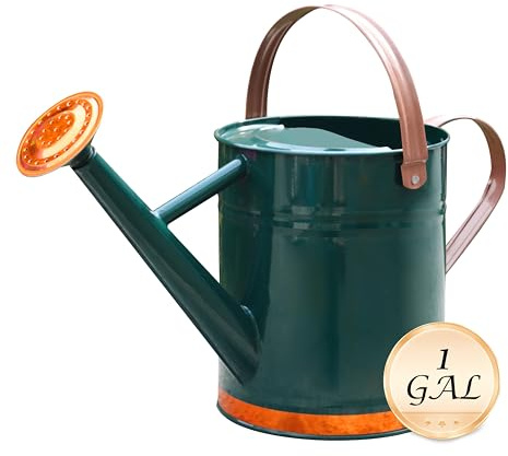 SunnyTong Metal Watering Can for Outdoor and Indoor Plants, Watering Can Decor, 1 Gallon (1 Gallon Green2)