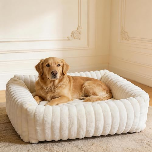 CareCooo M Panier Chien Rectangulaire Texture Ondulée Crème – Lit pour Chien Moelleux Pelucheux Rempli de Coton, Bords Surélevés, Housse Déhoussable Lavable, Antidérapant, pour Petits et Moyens Chiens