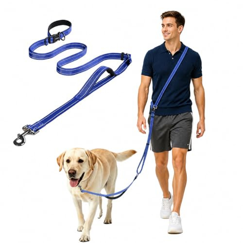 Kazazoo Hands-Free Dog Leash with Adjustable Length 6-9FT + Dual Padded Handles Reflective Safety for Walking, Jogging & Training | Suitable for Medium to Large Dogs & Puppies Blue-L