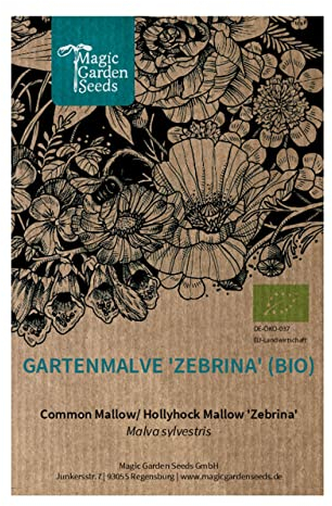 Malva Zebrina (Malva sylvestris) orgánica - aprox. 150 semillas